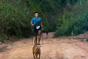 BIB: 
                            <button type="button" onclick="openModal(19453413)" class="btn btn-primary btn-sm float-right btn-popup" data-toggle="modal" data-target=".modal-high-quality">
                        <i class="fas fa-shopping-cart"></i> Add to Cart
                    </button>
                                            <button type="button" onclick="isThisMe(19453413, true)" class="btn btn-success btn-sm float-right btn-popup btn-isme hidden" data-toggle="tooltip" data-placement="bottom" title="นี่คือรูปของคุณใช่ไหม คลิกที่นี่เพื่อเอาเข้าอัลบั้ม">
                        <i class="fas fa-plus"></i> Add to album
                    </button>
                    <button type="button" onclick="isThisMe(19453413, false)" class="btn btn-warning btn-sm float-right btn-popup btn-isnotme hidden">
                        <i class="fas fa-ban"></i> Remove from album
                    </button>